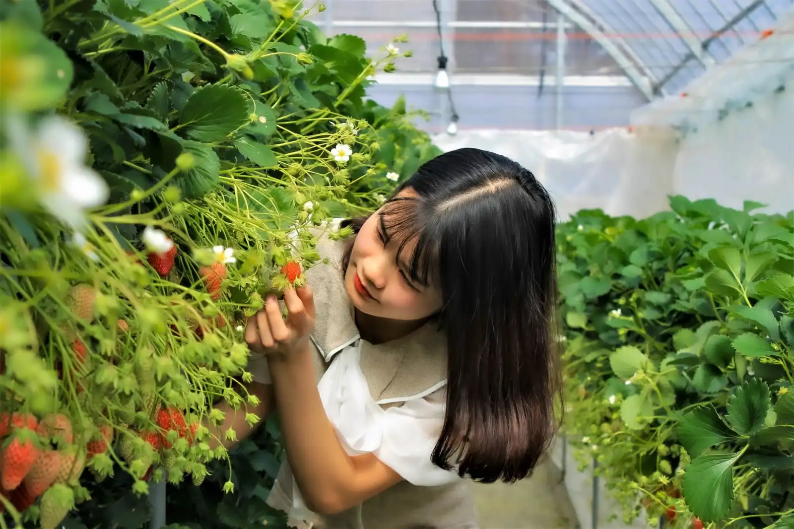 物流企业运费结算效率提升方案：调度软件光盘部署与实施要点