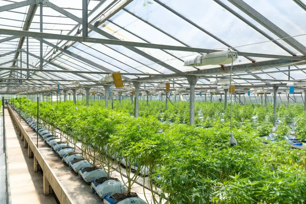 物流调度软件光盘选型指南：适配运输企业的功能对比分析
